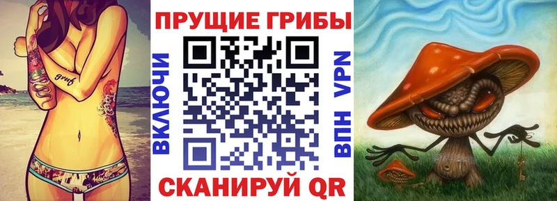 Псилоцибиновые грибы прущие грибы Купить где Невель